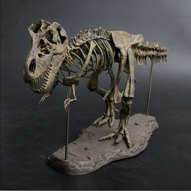 ของเล่นโครงกระดูกไดโนเสาร์ 4 ม - Model Kit Jurassic Park บทวิจารณ์และราคา