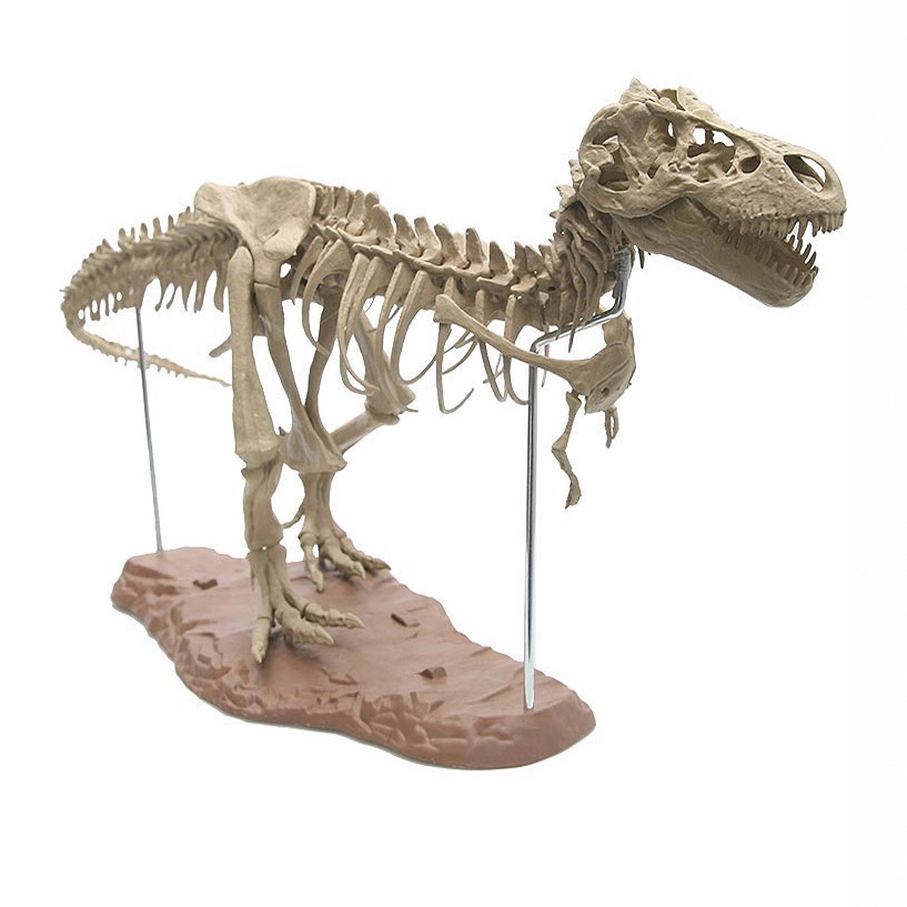 ของเล่นโครงกระดูกไดโนเสาร์ 4 ม - Model Kit Jurassic Park บทวิจารณ์และราคา